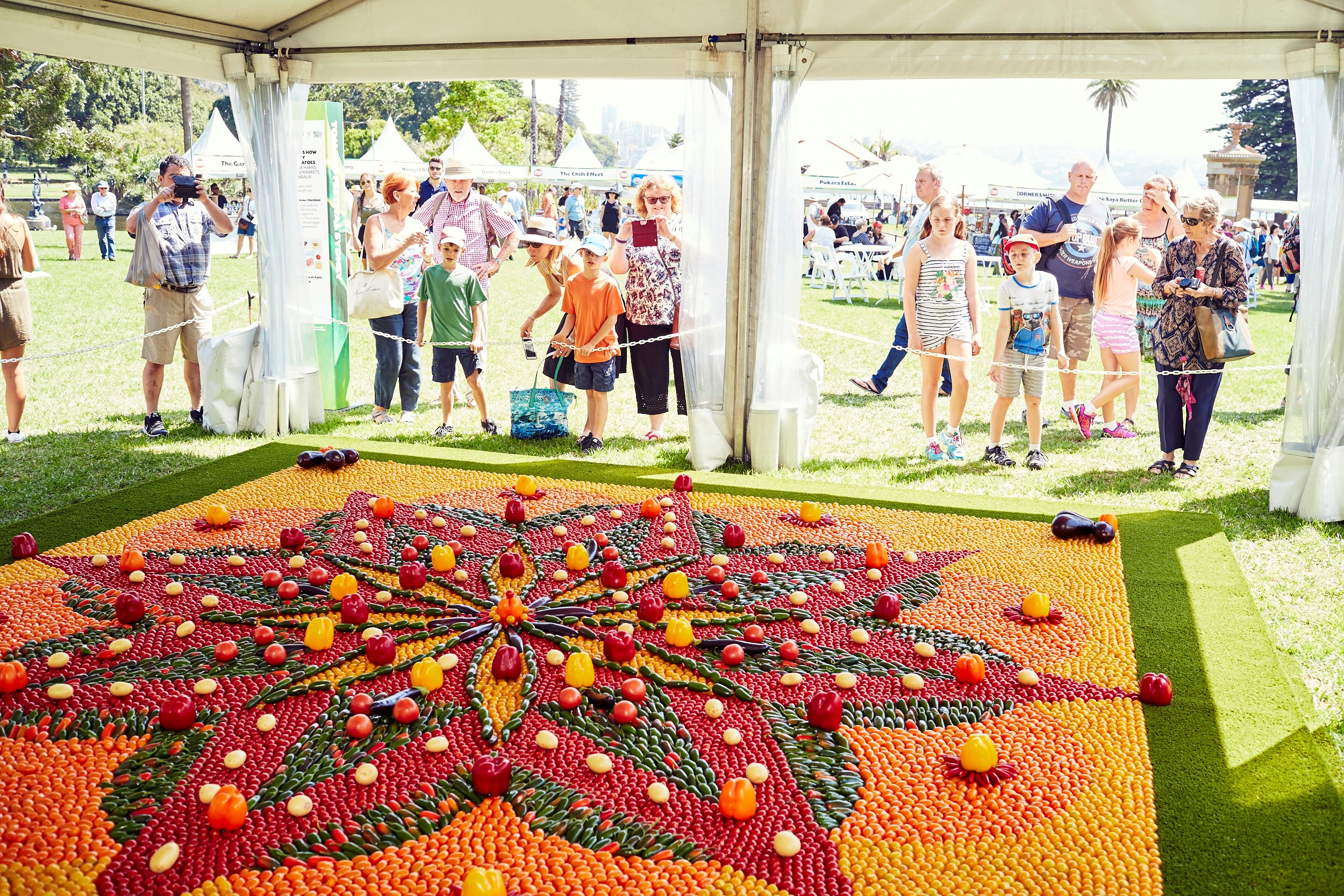It's On Again. The Annual Tomato Festival! Sydney Scoop